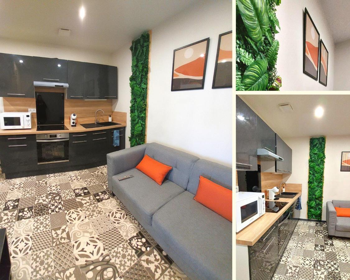 Artgrey * Ideal Pro * Roanne Secteur Gare Et Rue Pietonnes Exterior foto